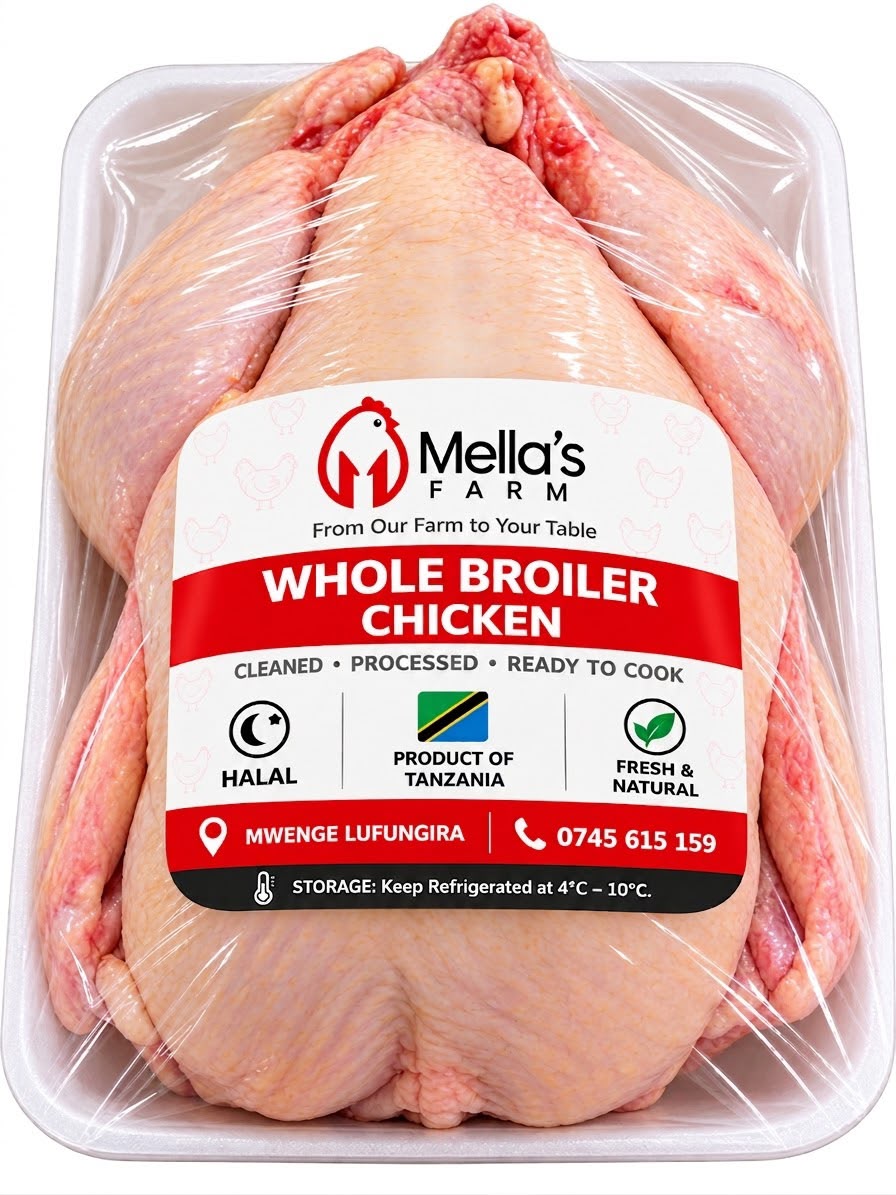 Broiler Chicken